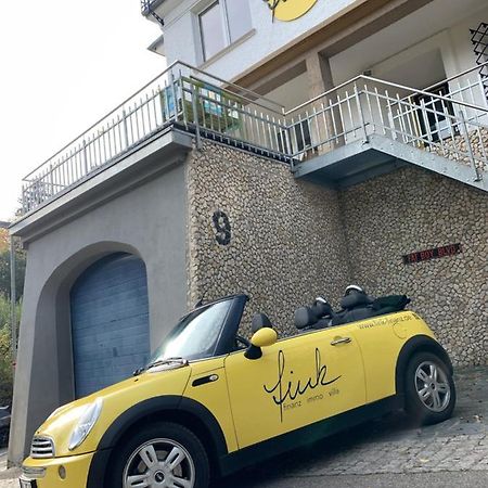 Villa Fink Schramberg Bagian luar foto