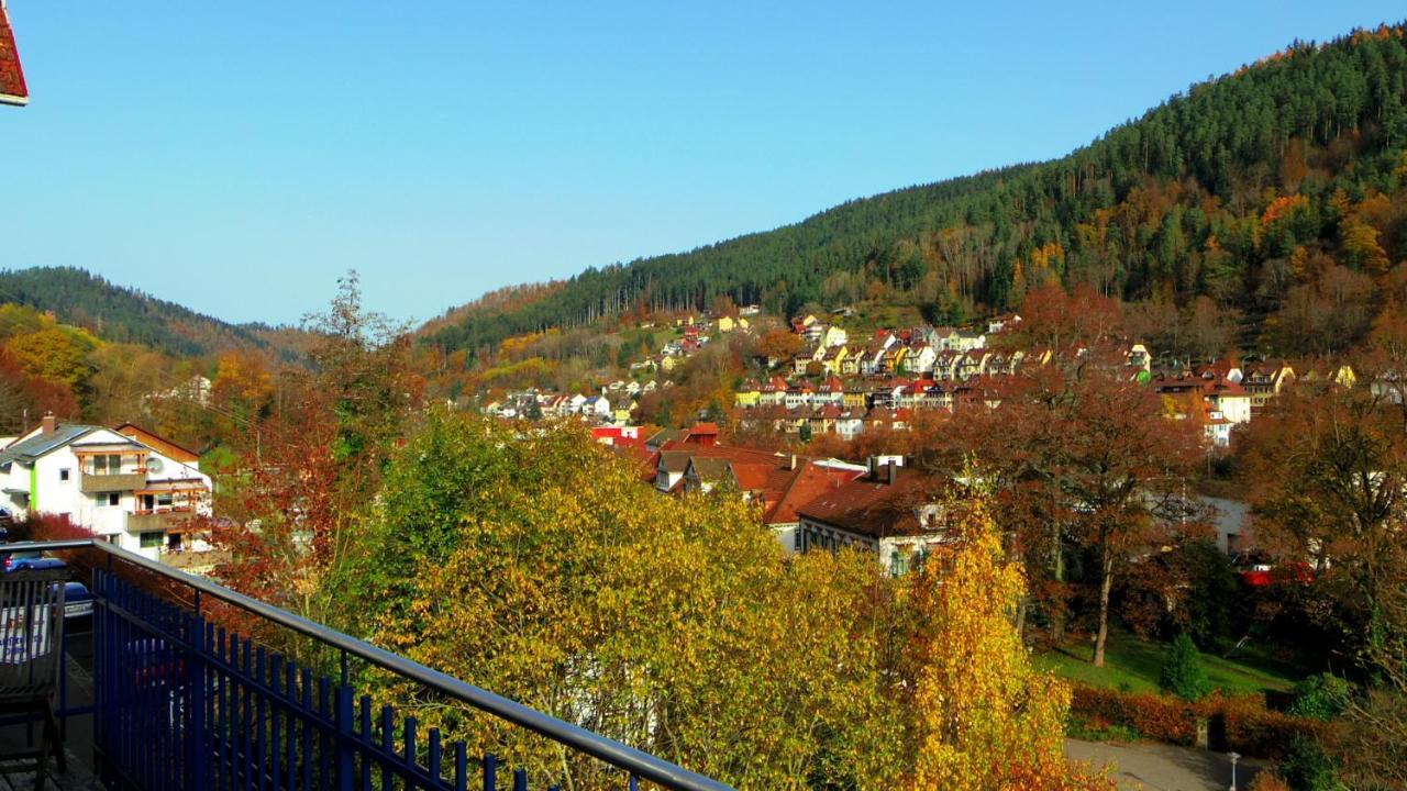 Villa Fink Schramberg Bagian luar foto