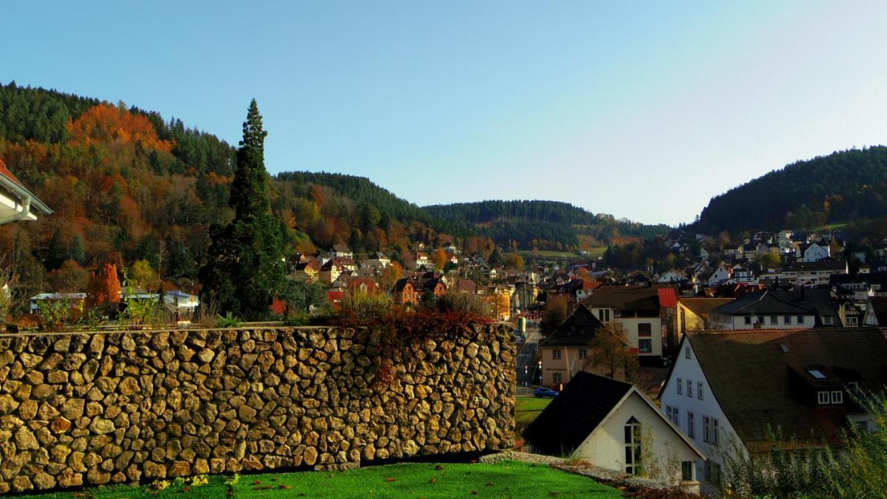 Villa Fink Schramberg Bagian luar foto