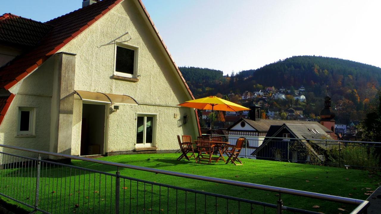 Villa Fink Schramberg Bagian luar foto