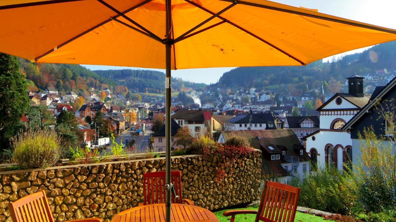 Villa Fink Schramberg Bagian luar foto