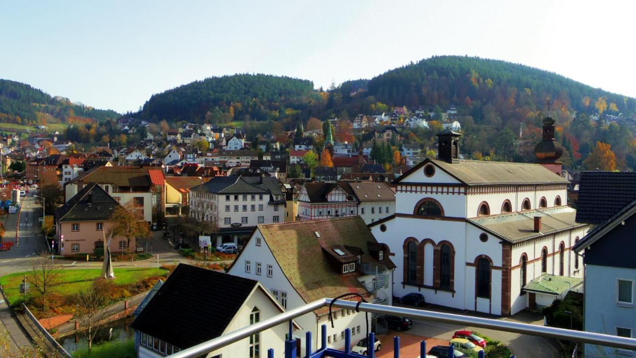 Villa Fink Schramberg Bagian luar foto